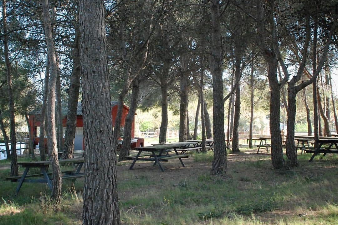 foto40