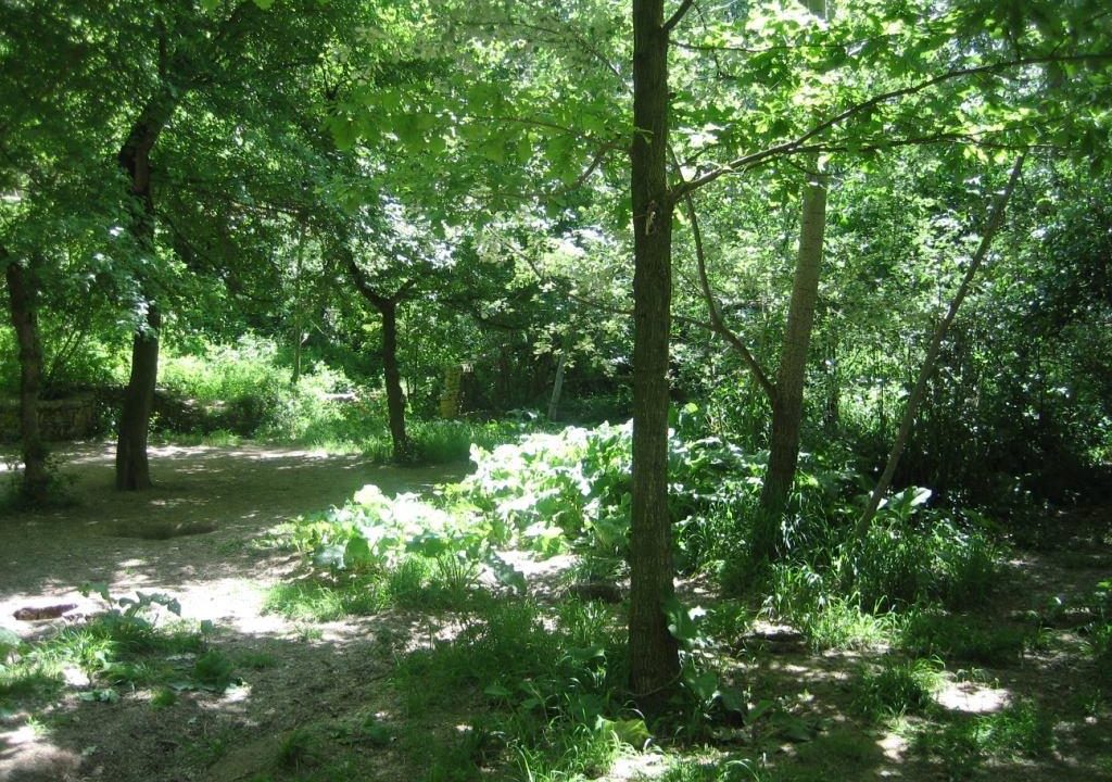 foto6